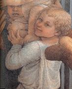 Fra Filippo Lippi Details of  Madonna and Child with Two Angels painting
